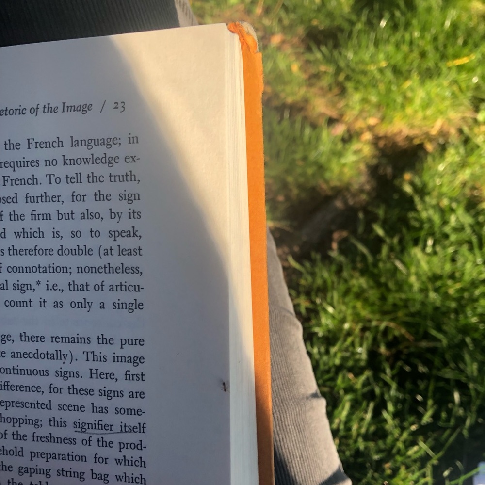 Welcome 🍵 - Picture 2 of 3